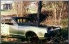 hall-of-shame-tree-through-engine.jpg