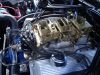 DSC01562.JPG