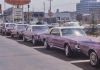 B75BB3AB-0C48-4D3A-8C4F-C7F2C490EA40.jpeg