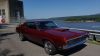 Filename=Cougar_2847929~0.jpg
Filesize=143KiB
Dimensions=1280x720
Date added=Sep 06, 2021 Cougar_2847929~0.jpg