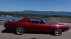 Cougar_2849729~0.jpg