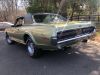 E33387B1-4E5A-46D4-89BA-DCEDEB9D03B8.jpeg